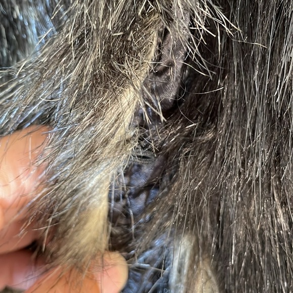 NWT. City Chic 70’s Diva Jacket. 16. - Picture 6 of 14